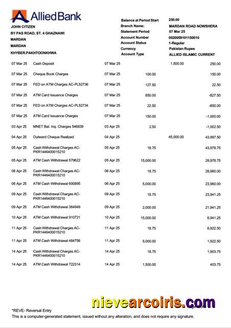 Pakistan Allied Bank Limited account statement Word and PDF